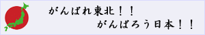 がんばれ東北、がんばろう日本